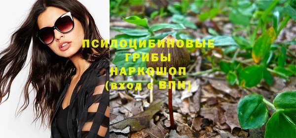 дурь Гусь-Хрустальный