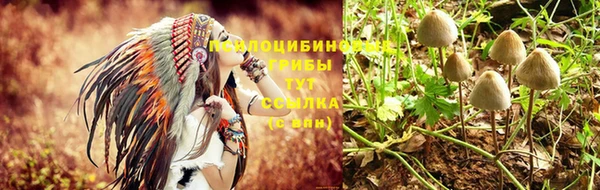 мяу мяу мука Дмитров