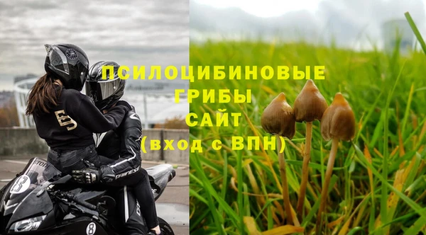 дурь Гусь-Хрустальный