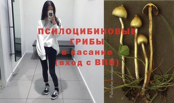 дурь Гусь-Хрустальный